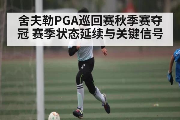 舍夫勒PGA巡回赛秋季赛夺冠 赛季状态延续与关键信号